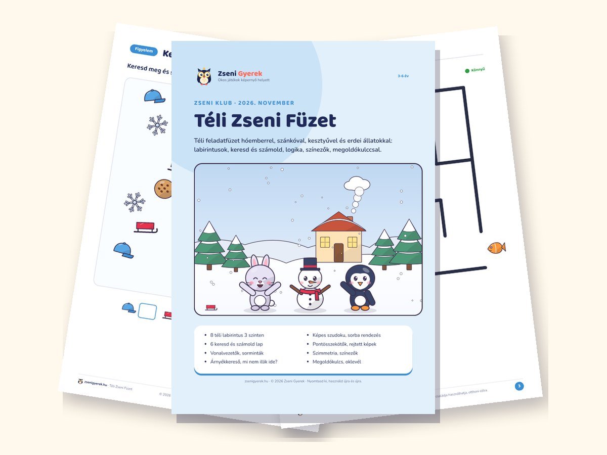 Téli Zseni Füzet