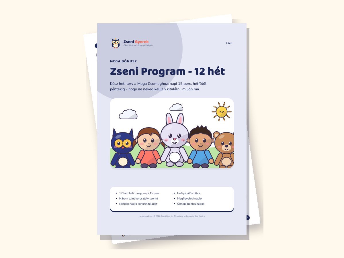 Zseni Program - 12 hetes terv